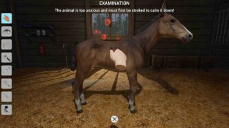 My Life Farm Vet Free Download By Steam-repacks.net