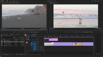 Adobe Premiere Pro 2024 Free Download By Steam-repacks.net